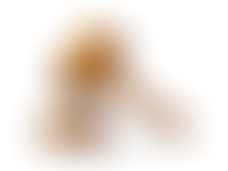 Årsmöte tisdagen den 15 juni