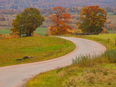 Fågelsträcket på Hovdala 3 oktober