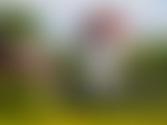 Bioblitz naturreservat Hovdala 10/6