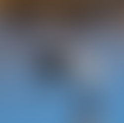 Andfågelräkning 15/3