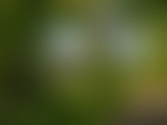 Möt våren vid Mölleröds kungsgård 22/4