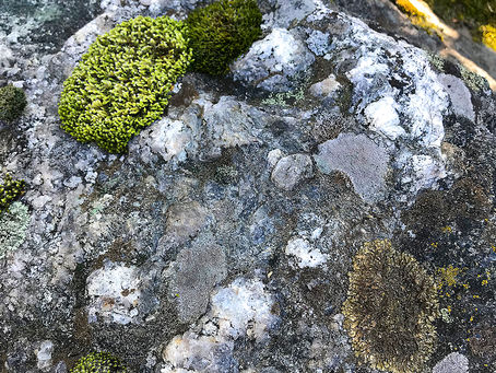 Lavarnas värld den 9 mars