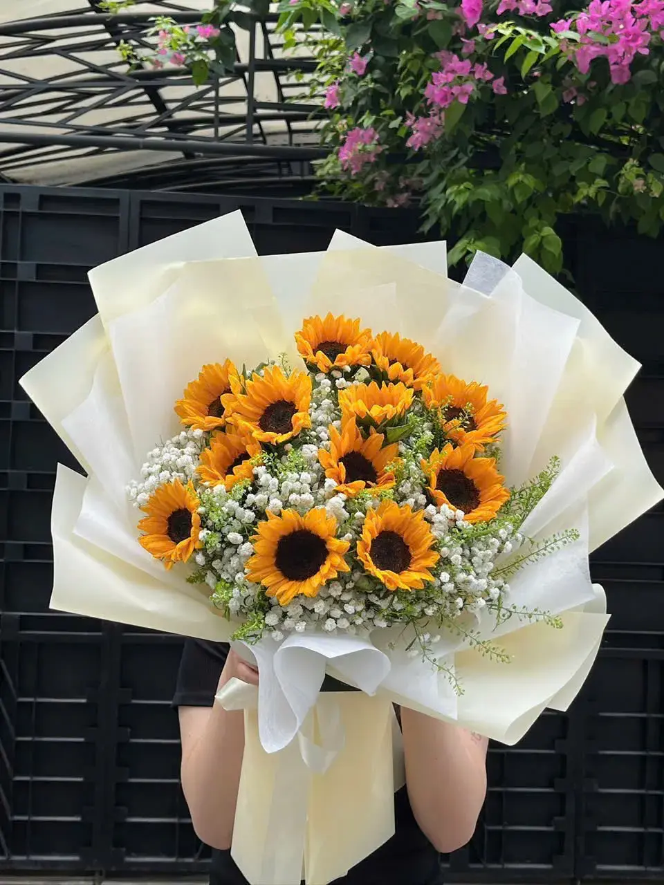 Bó hoa hướng dương size lớn 11