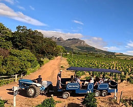 Wine Tractor & Tram.jpg