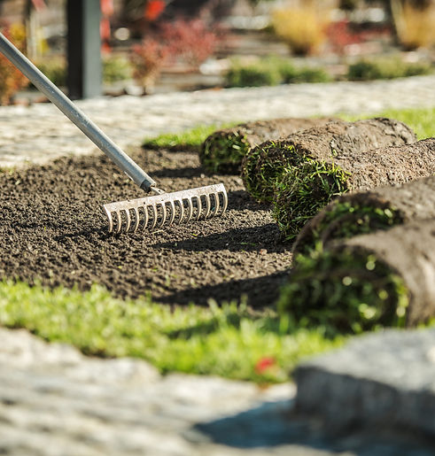 gardener-preparing-soil-laying-sod-landscaped-garden-daylight.jpg