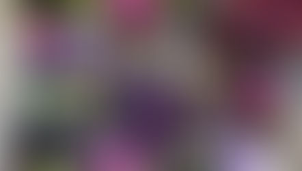 Grow 50 Different Plants on Your Patio with the GARDEN TOWER 2 by Garden Tower Project