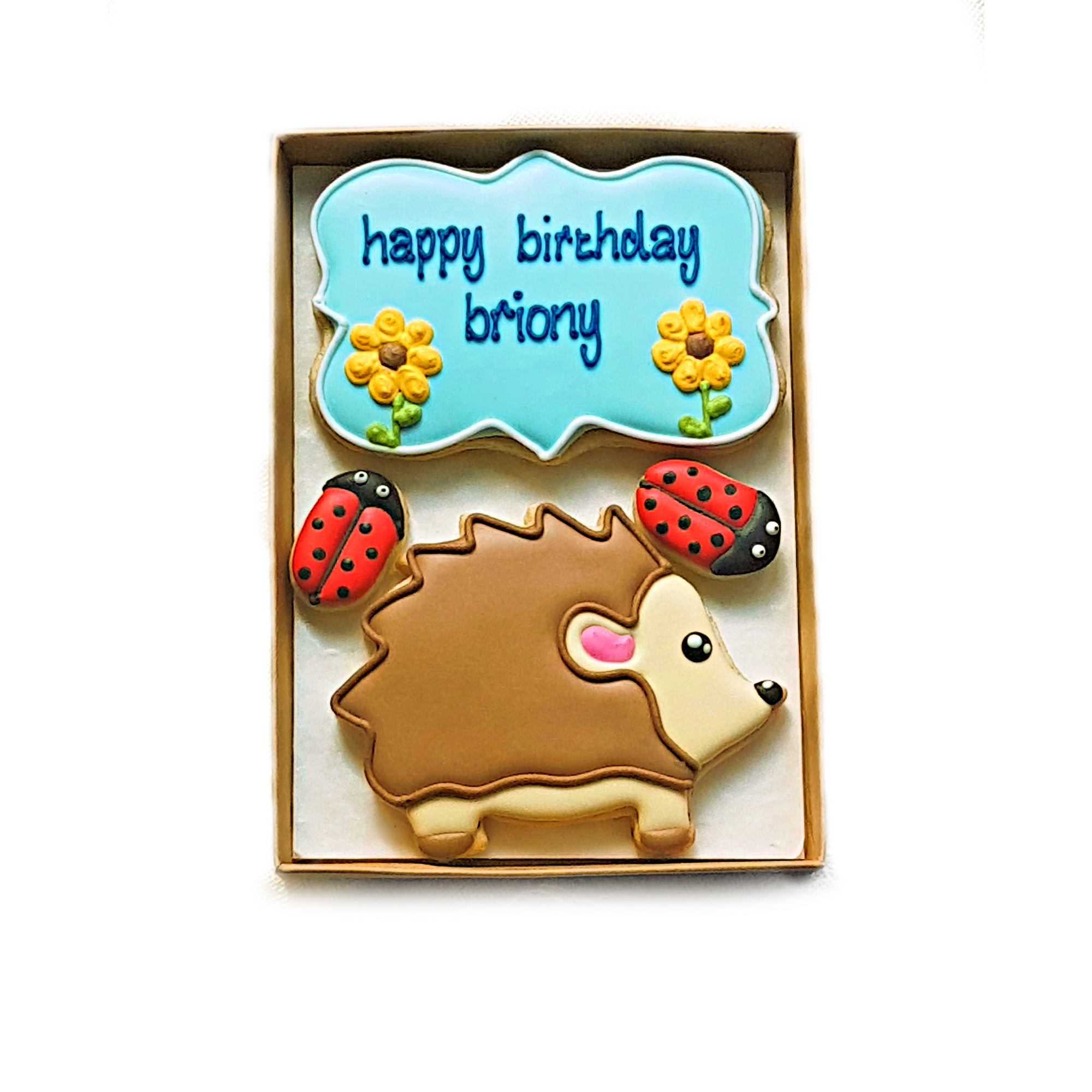 PERSONALISED HEDGEHOG & LADYBIRD SET