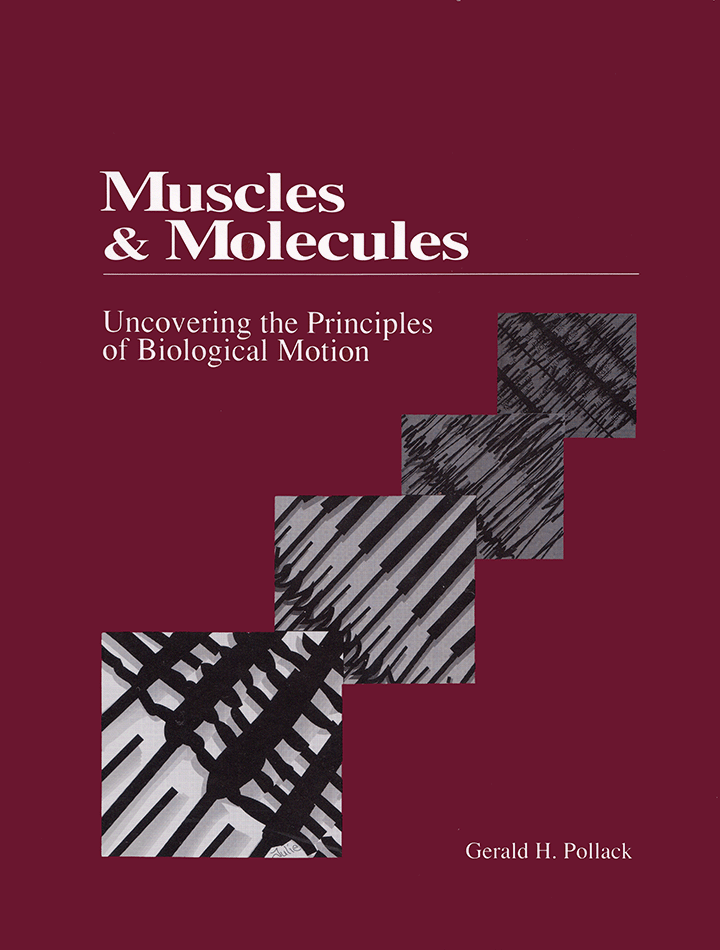 muscles-and-molecules_cover_720x950.gif