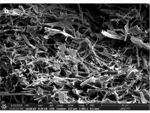 Interfacial water and its potential role in the function of sericin against biofouling