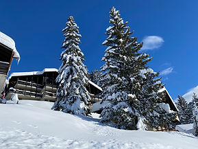 Domaine Les Arsets en hiver
