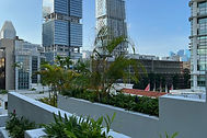 IMG_3799.jpeg