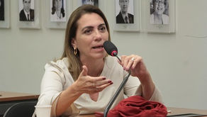 Rosana Valle pede à bancada paulista R$ 3 milhões para defesa da bananicultura no Vale 