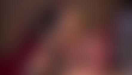 Rosana Valle reúne especialistas para sugerir ações para a nova Defesa Nacional dos Animais
