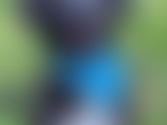 Just Adopted a Rescue Dog? Read This First đž