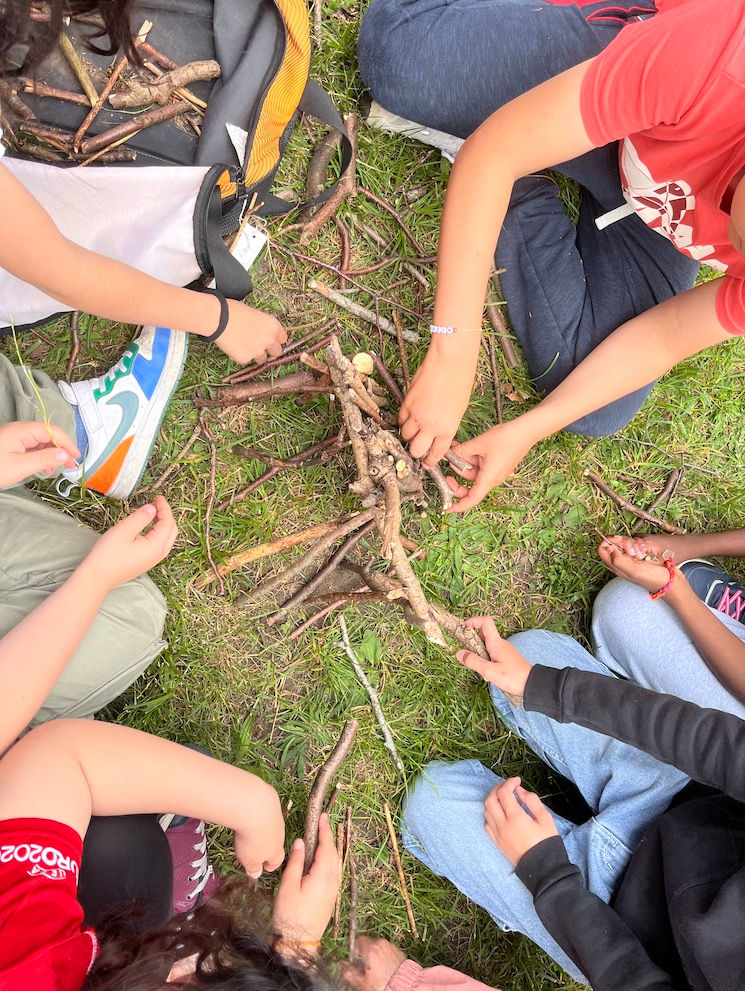 La biodiversité dans ma cour d'école