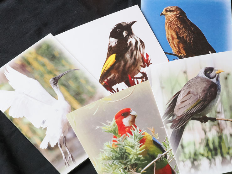 Cards by Gwen Leane
