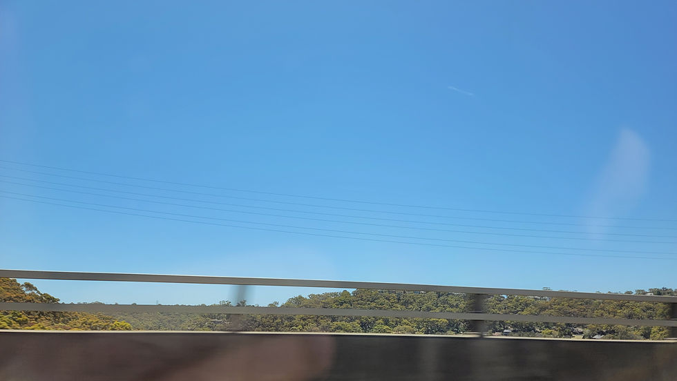 20241226_125703.jpg