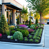 landscape service for a commercial business .jpg
