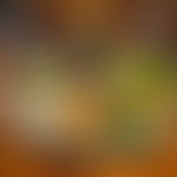 Free Wellness Dinner Event