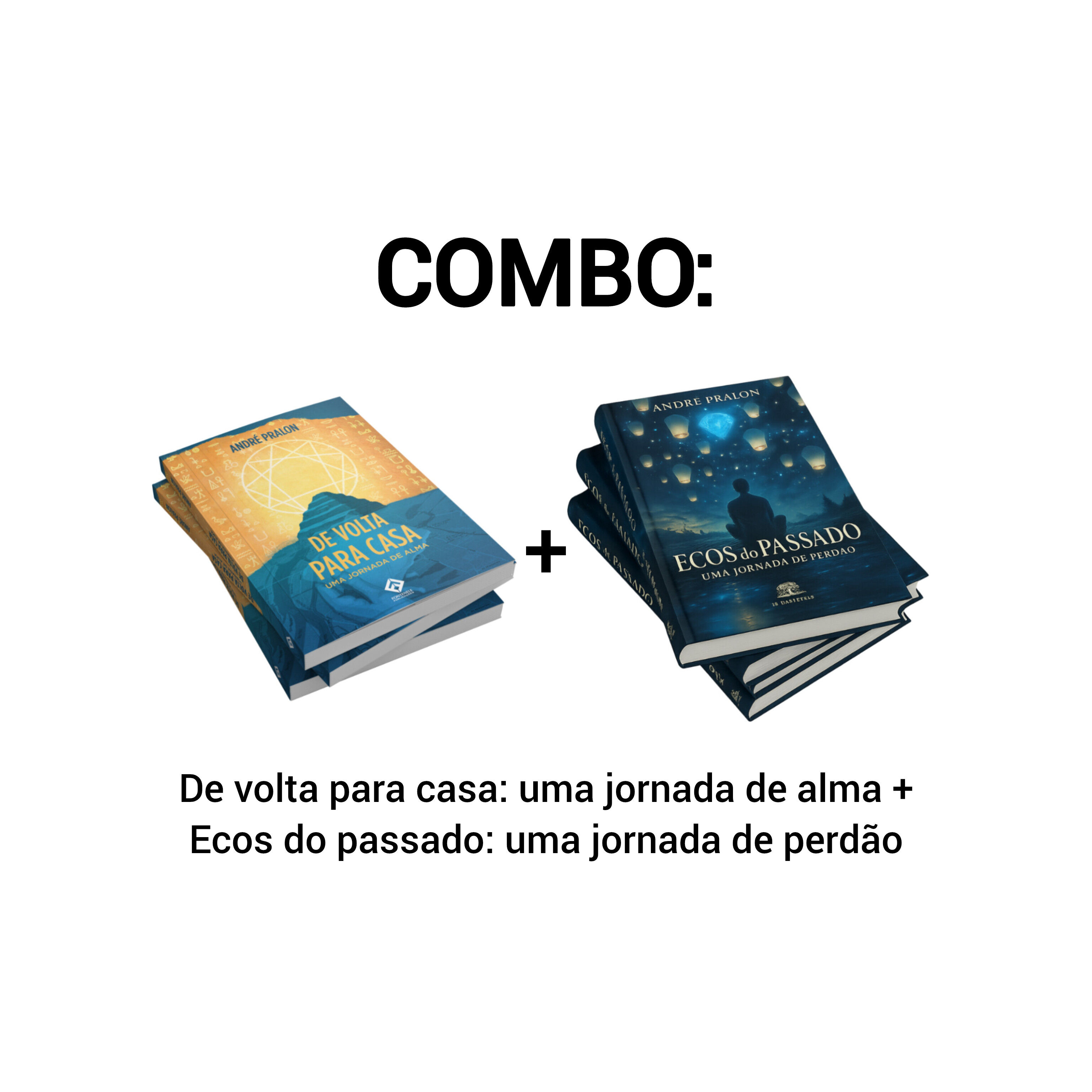 Combo DOIS LIVROS do autor