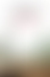 LA SOMBRA DEL VIENTO
Carlos Ruiz Zafón