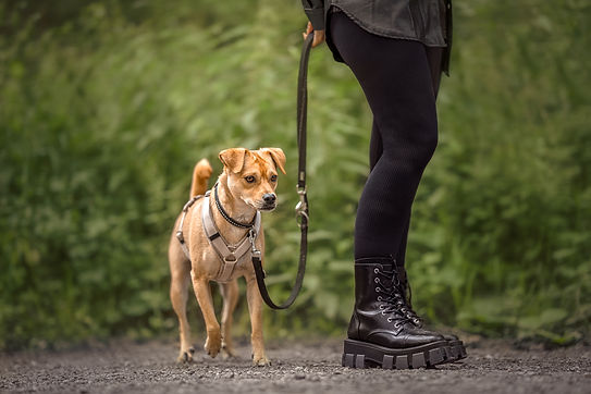 23 - _DSC7009_web.jpg