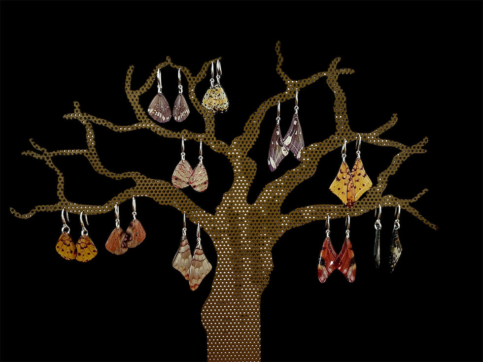 Thumbnail: Butterfly Wing Earrings (large E)