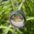 Dreaming of the Sea Locket (C)