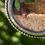 Thumbnail: Dreaming of the Sea Locket (E)