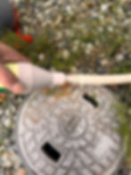 ree