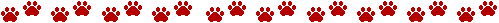 bg-dog-paw-line-red.gif