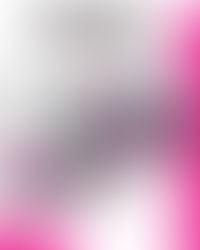 Mason Maggio's Success Unlocked No. 91 Chevy