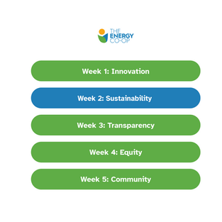 Co-op Month Week 2.png