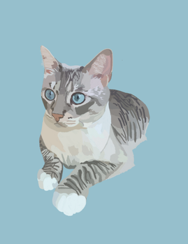 Dani Cat