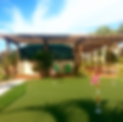 Florida Backyard Greens-9705.png