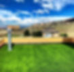 Florida Backyard Greens-rooftops.jpeg