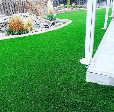 Florida Backyard Greens-yard turf.jpeg