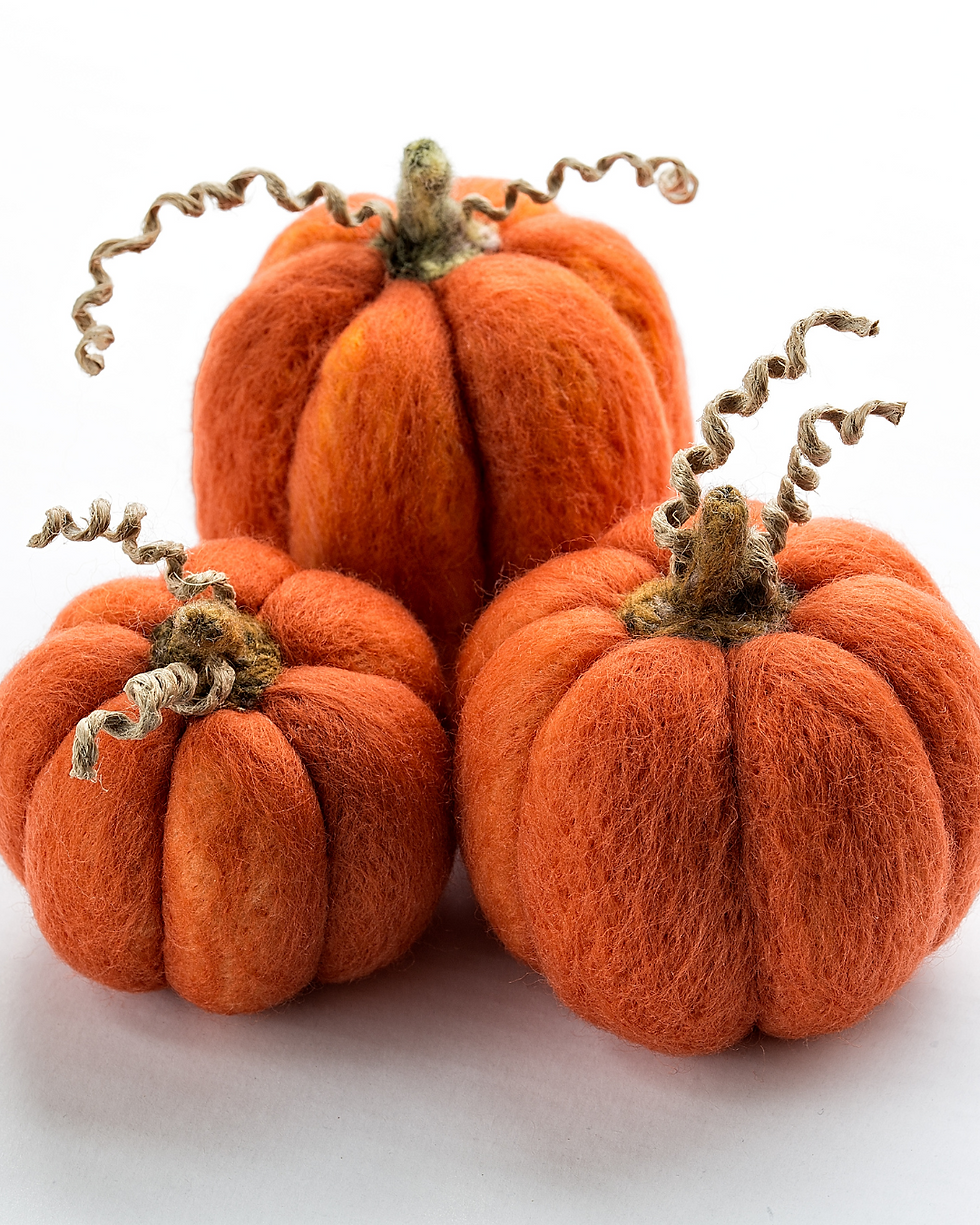 Pacas and Pumpkins - Needle felting pumpkins and alpaca meet & greet