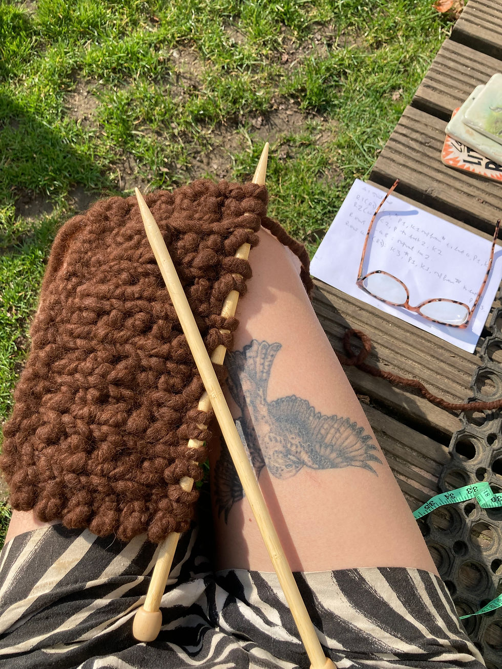 Learning to knit with the Alpacas
