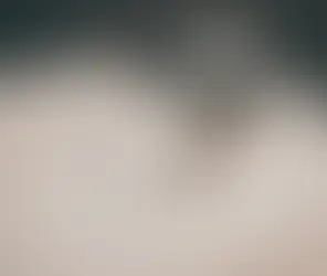 Why You Need a Will — Even If You’re Under 40