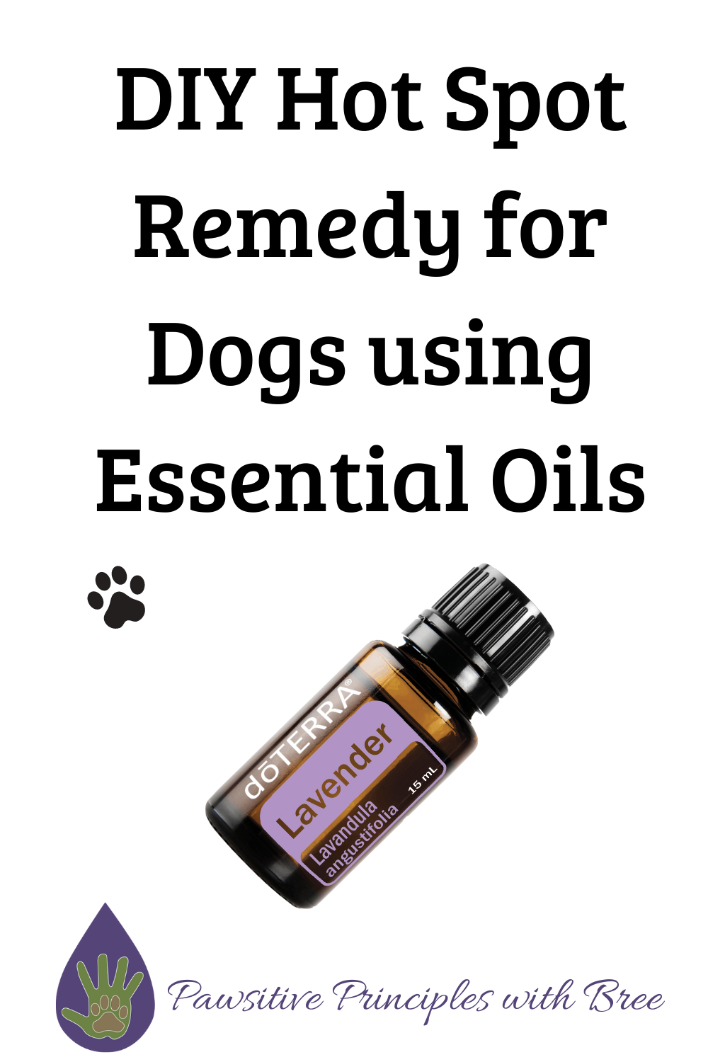 An easy DIY hot spot remedy for dogs