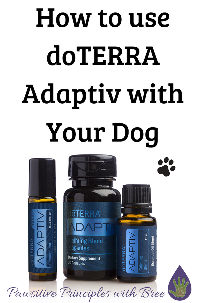 How to use doTERRA Adaptiv with Your Dog