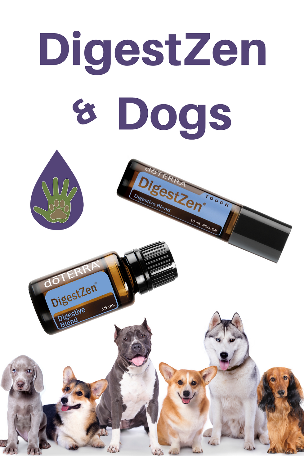 How to use DigestZen Essential Oil with dogs