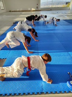 Taekwondo La Zubia Kids.jpg