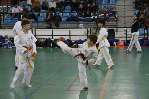 Federación Andaluza de Taekwondo Entrenamiento de Combate