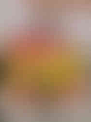 Ainara Claus Subcampeona del Open Internacional Lisboa Taekwondo