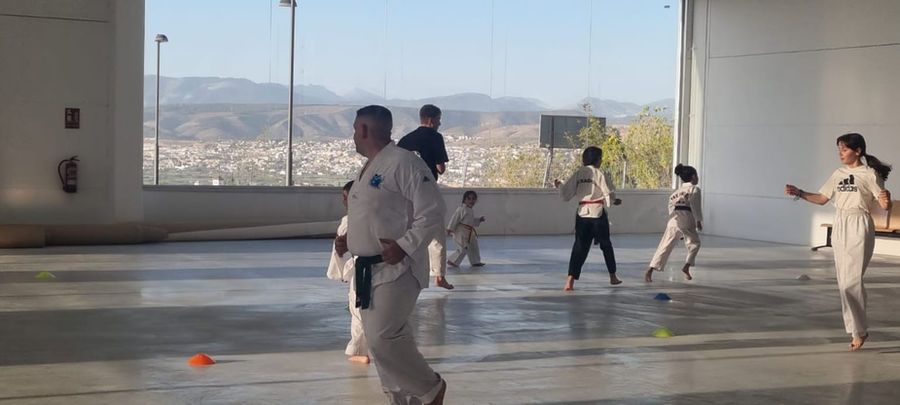 La Zubia Taekwondo Entrenamiento.jpg