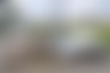 PARQUES Y CALLES DE ENGATIVÁ INVADIDOS DE BASURA