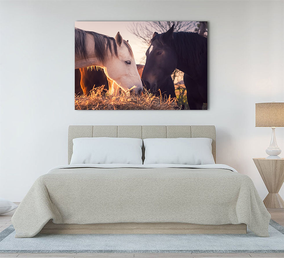 love in color Œuvre photographique pour décoration murale