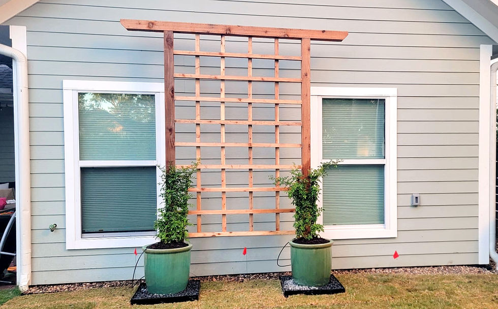E 225 Trellis with vines on green pots